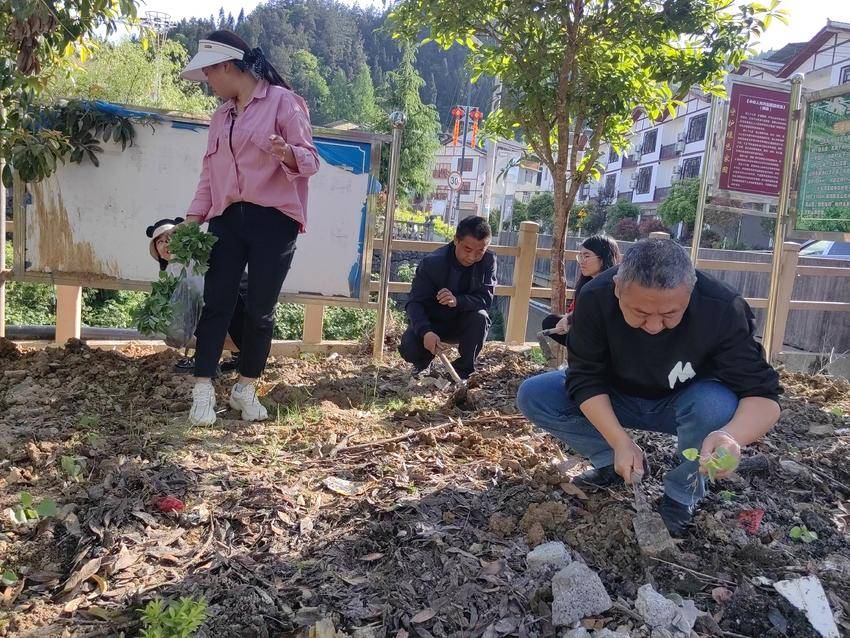 必赢贵宾会3003am驻村工作队挥锹夯土培植花苗