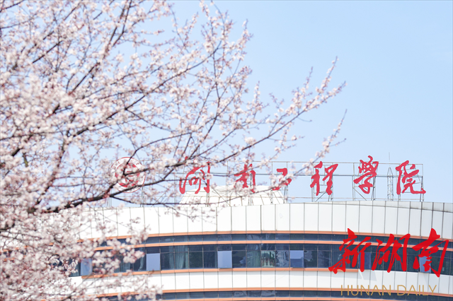 beat365正版唯一官网必一紫叶李花开惹人醉